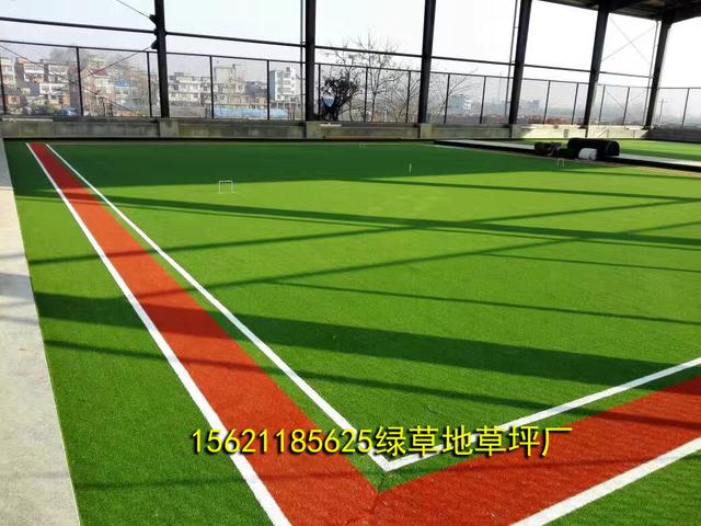 草坪每平米多少钱，绿化草坪多少钱（门球场草坪价格）