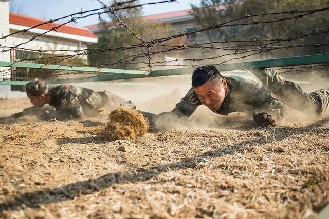 我想要怒放的生命，想要怒放的生命什么歌（歌曲《怒放的生命》）