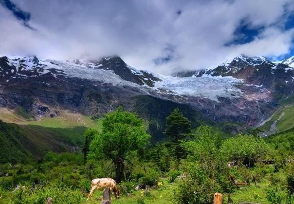 雨崩村海拔是多少，雨崩村海拔（喂马劈柴的“旷世桃源”）