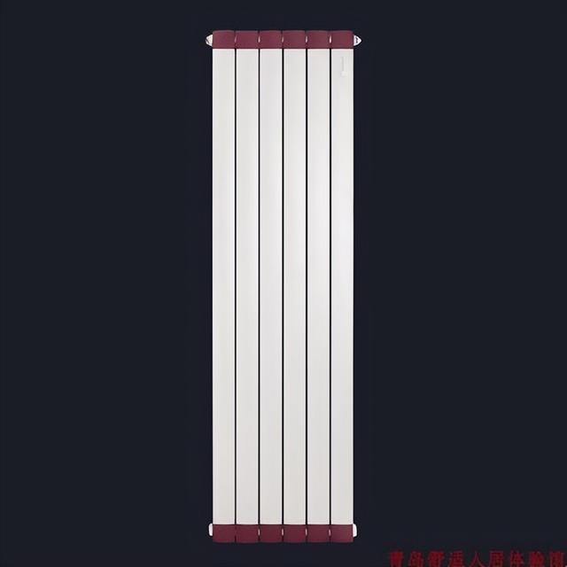 暖气片什么牌子好，加水电暖气片什么牌子好（散热器哪个牌子好）