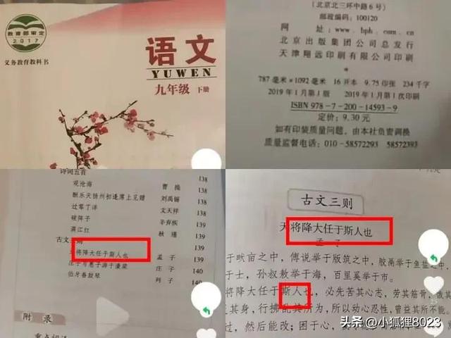 不接受8023是什么网络用语，接受婚检不接受8023是什么意思（“斯人”与“是人”之争是教材问题）