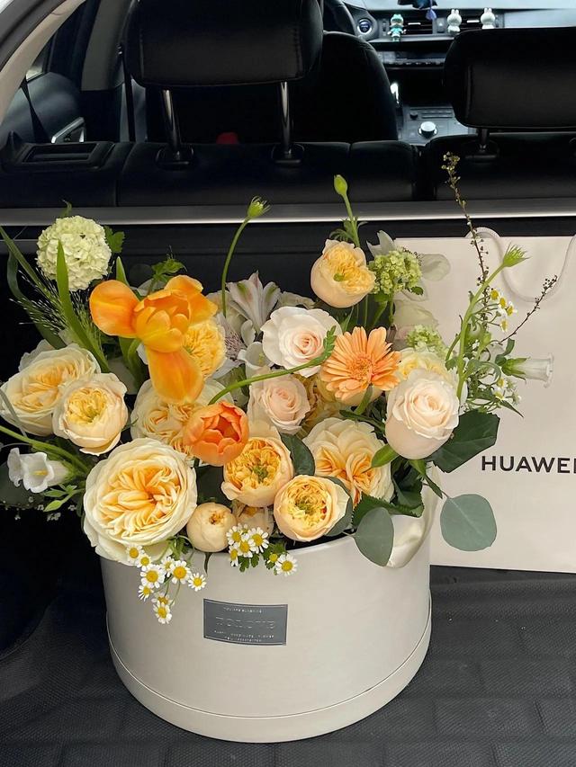 花朵系列背景图，花朵背景图片大全高清唯美（温馨又治愈的花朵背景图）