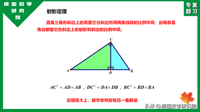 什么是数学上的射影定理，中考专题：射影定理小常识