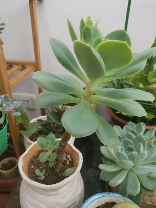 有哪些好听的网名，好看又好听的网名400个（都是些什么名字呢）