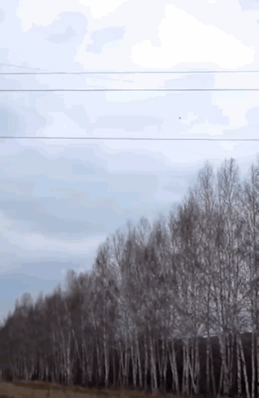 简单实用牛肉干鉴别方法不用担心被无良商家欺骗，怎么鉴定牛肉干是真的（“在火车站旁边捡的牛肉干）