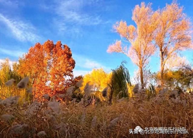 北京5个小众公园，人少安静