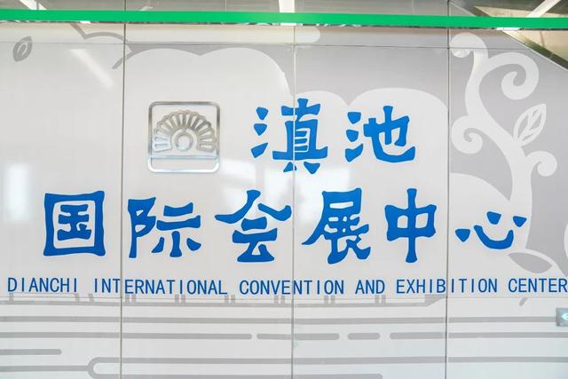 豹龟结石，昆明地铁5号线，首！发！见（肾结石会有啥症状）