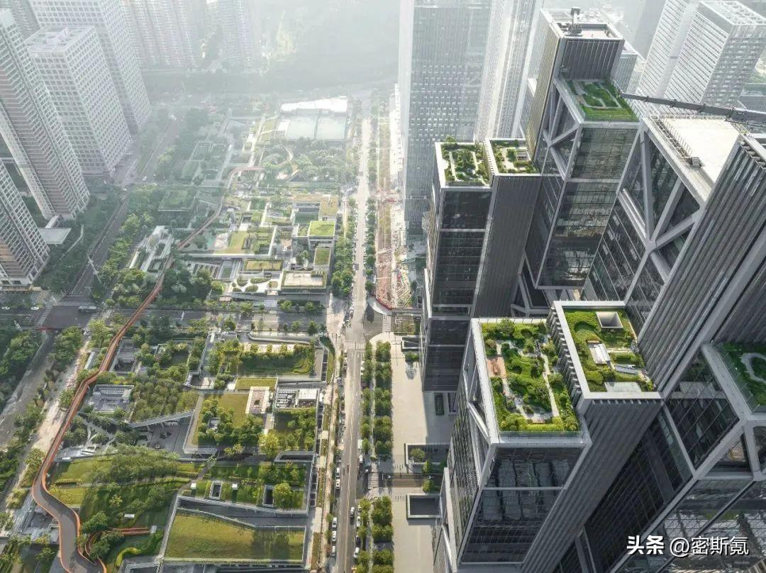深圳市有几个区(深圳市南山区有几个街道)