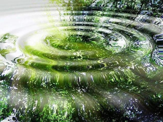 奇数偶数是什么意思，偶数是什么意思（小学生都能读懂的巧辨质数）