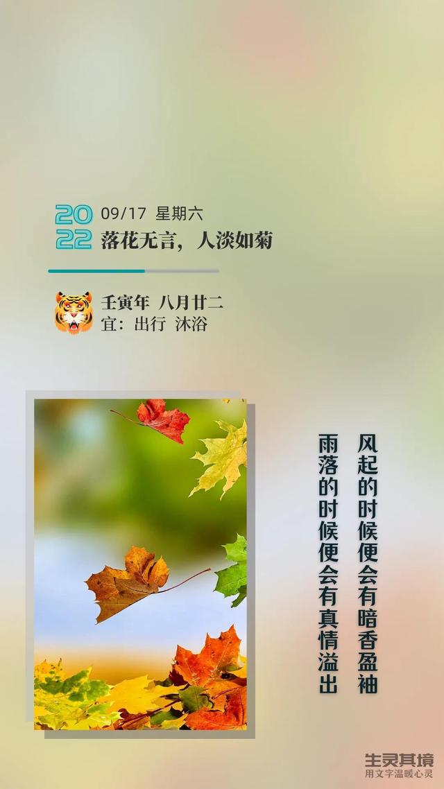 女人感慨岁月的句子，30岁女人感慨岁月的句子（岁月静好；你若不来）