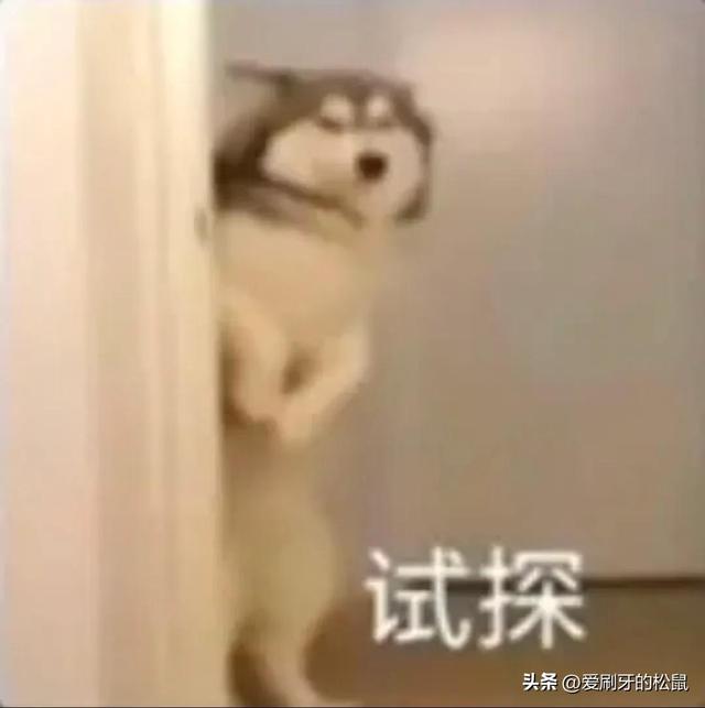 对女生没兴趣是怎么回事，对女生不感兴趣是怎么回事（朋友们我现在对女人没兴趣了怎么办）