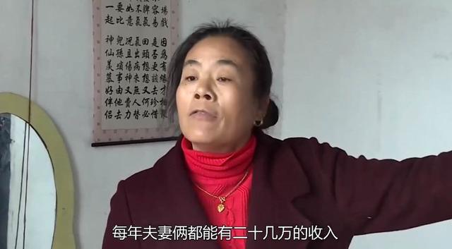 龙女士是谁，龙女士是什么（母亲：他家把我女儿当奴隶使唤）