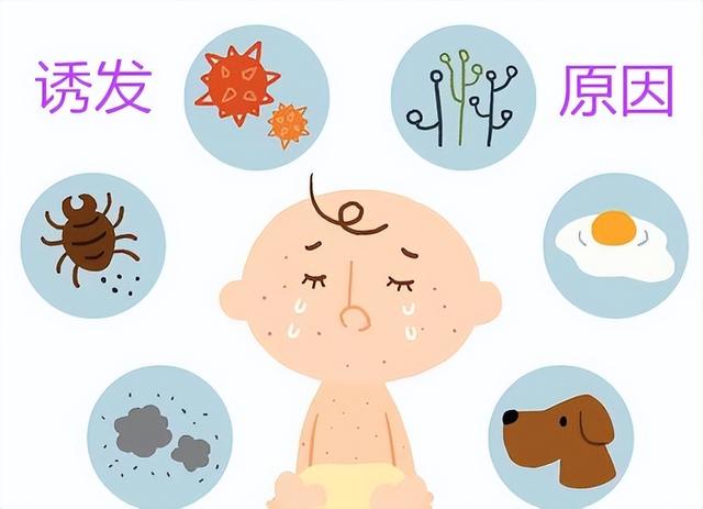 痱子和湿疹的图片对比，湿疹和痱子的对比照（让你轻松认识痱子和湿疹）
