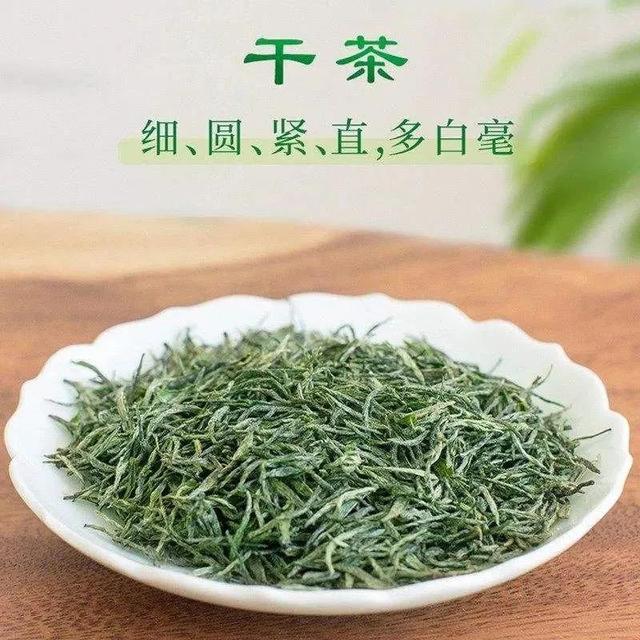 信阳毛尖哪正宗，绿茶之王