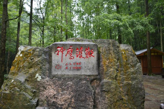 去张家界旅游景点推荐，张家界周边旅游景点推荐（“张家界”不可错过的十大景点）