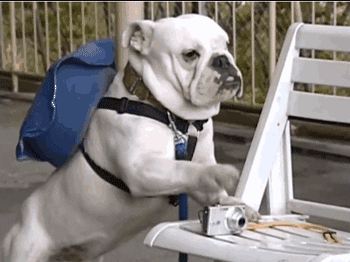 香港综艺节目排行榜，香港经典电影排行榜（那些笑爆肚的TVB经典综艺）