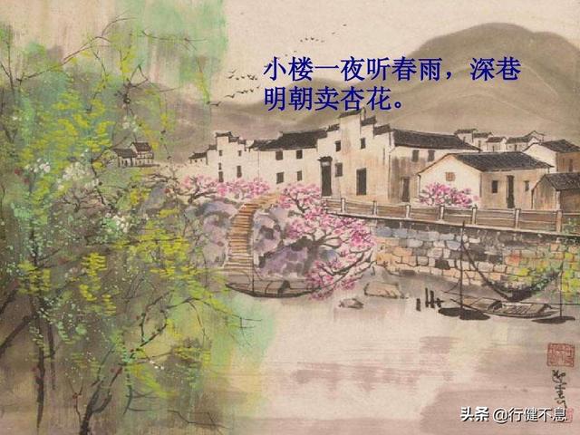 有关杏花的诗句，关于杏花的诗句有哪些（一枝红杏出墙来）