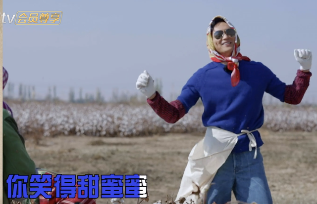 新疆摘棉花是什么梗，张智霖戴头巾摘棉花被阿姨误认为20多岁