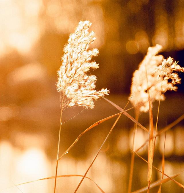 记录美好时光的句子，记录美好时光的短句（怀念曾经的美好时光）