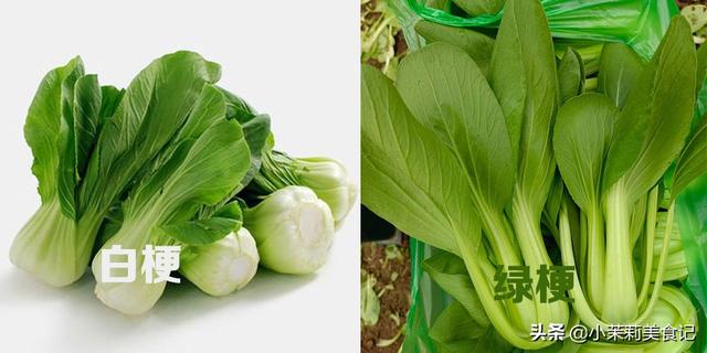 上海青是油菜吗,怎样区分上海青和油菜(要分清"白梗"和"绿梗")