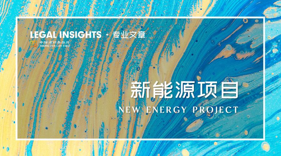 典型案例分析（新能源项目争议解决典型案例分析）
