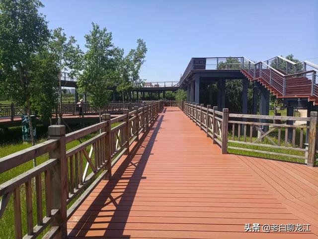 哈尔滨群力湿地公园，群力新区十一大公园
