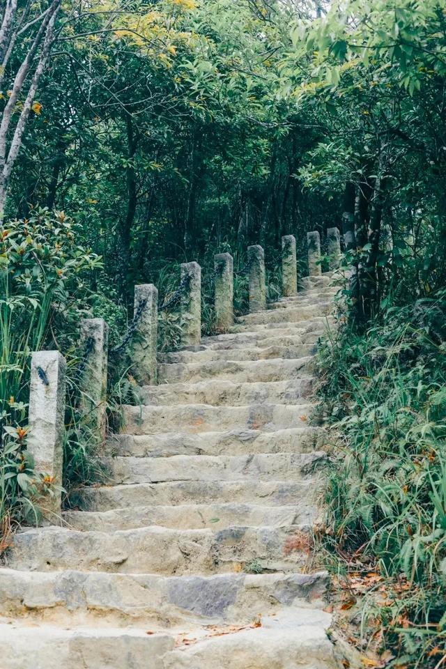 深圳好玩的免费景点，深圳哪里好玩的景点（来深圳这10个地方免费玩）