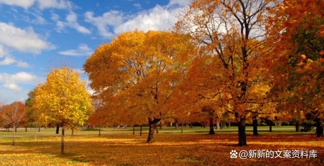 女人的说说，女人的说说唯美句子（女人发朋友圈正能量文案）