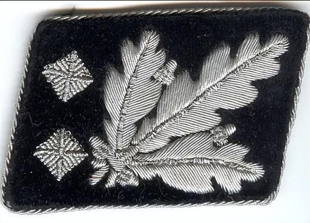 三星两杠什么军衔，关于军衔等级介绍（二战德国党卫军军衔简介）