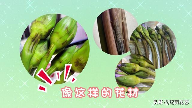 鲜花怎么醒花方法，醒花与不醒花的区别（鲜花睡莲怎么醒花）