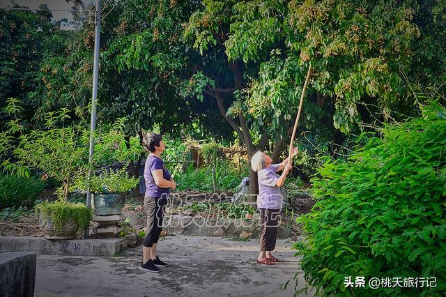 珠海有什么好玩的地方，珠海十大景点（这些景点值得打卡）