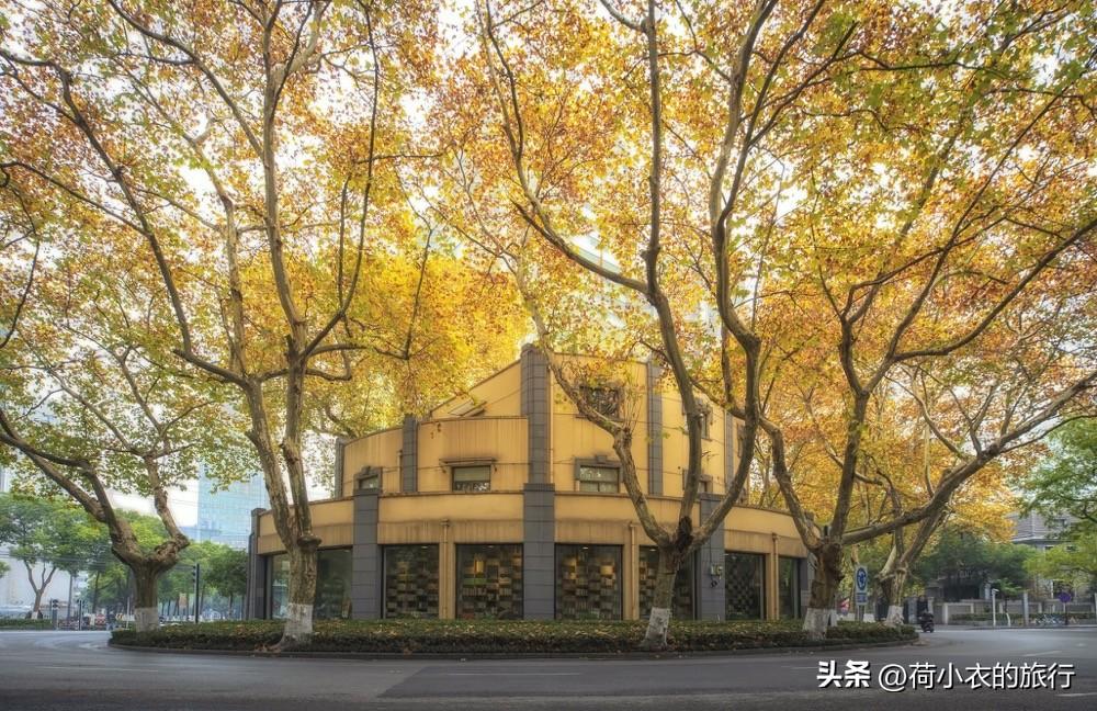 南京出发二日游，南京出发二日游攻略（南京最美的6个地方）