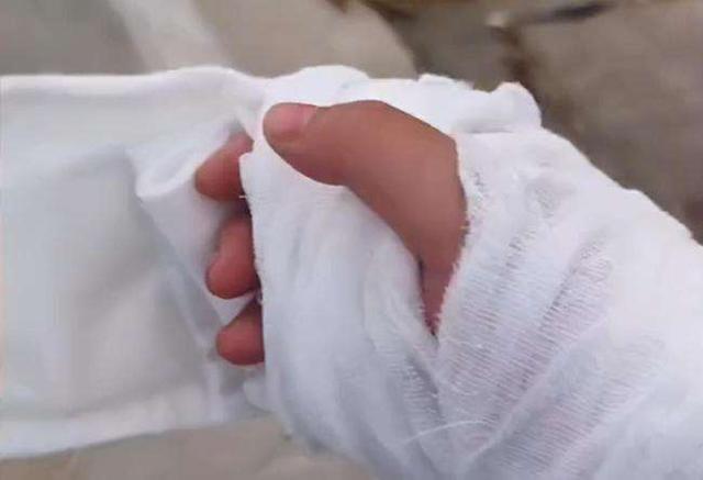 江团价格今日价格表，白江团贵还是黑江团贵（前五种鱼钓时要小心）