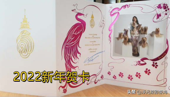 2022贺卡英语祝福语，2020新年贺卡祝福语英语（转发点赞思蕊梵2022贺卡）