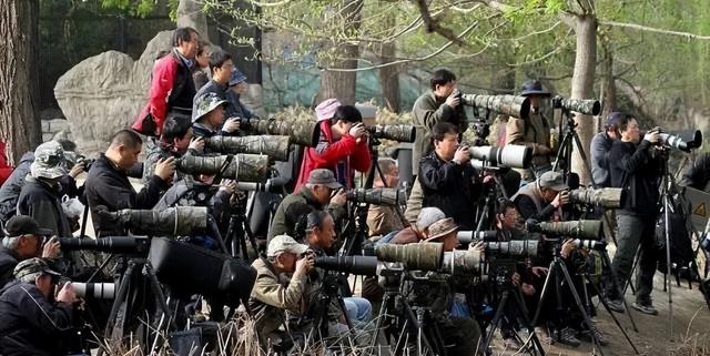 学摄影很烧钱吗，学摄影很烧钱吗什么程度能够接商拍（学习摄影的成本有多高）