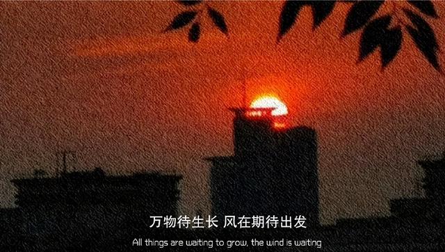 把烦心事丢掉 腾出地方装鲜花，把烦心事丢掉 腾出地方放鲜花出自哪里（把烦心事丢掉，腾出地方装鲜花图片）