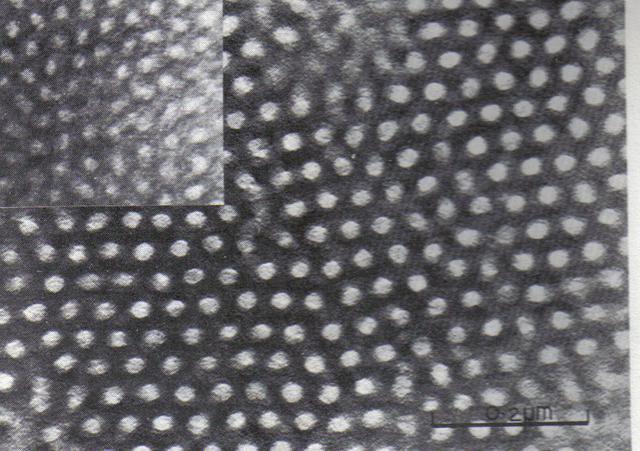 火是什么状态，火是什么状态存在的（物质有固体、液体和气体三种形态）