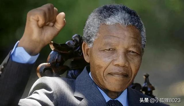 不接受8023是什么网络用语，接受婚检不接受8023是什么意思（“斯人”与“是人”之争是教材问题）