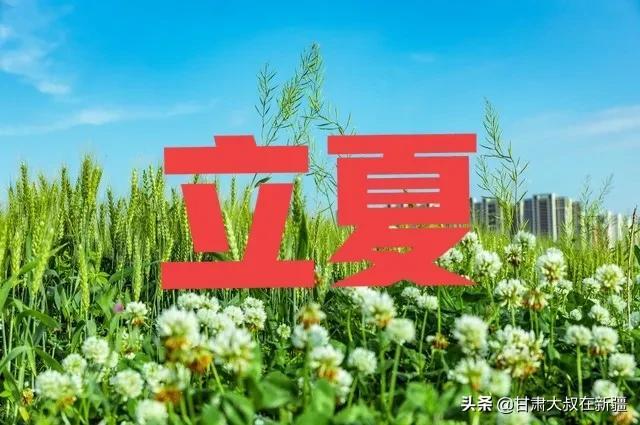 立夏节气的特点，立夏的特点（立夏晴天好还是下雨好）