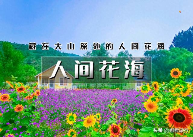 赏花登山逛古村の秘境人间花海-云岫谷狩猎风景区-遥桥古堡