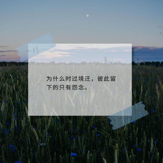 伤感+爱情.，伤感爱情语录（让人感同身受的伤感爱情文案带图片）