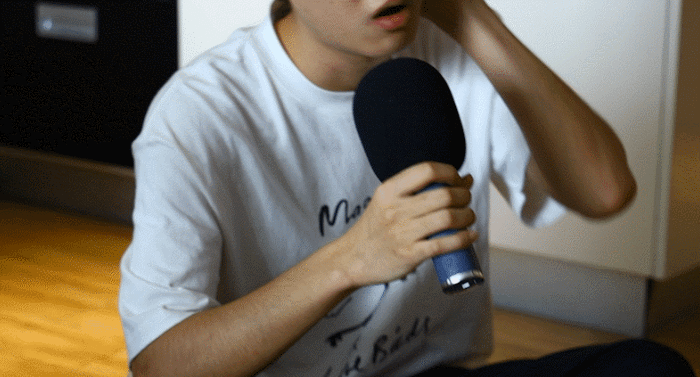 麦克风哪个品牌音质最好，专业麦克风哪个品牌音质最好（JBL、唱吧、米家谁是极致性价比）