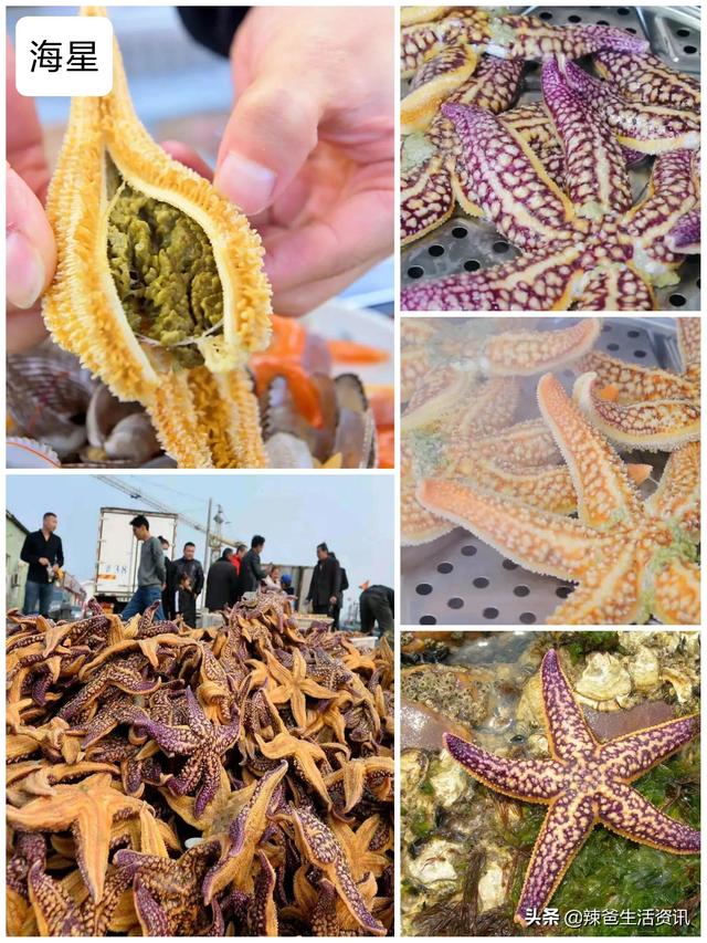 简单又好做的海鲜，这10种海鲜如何加工