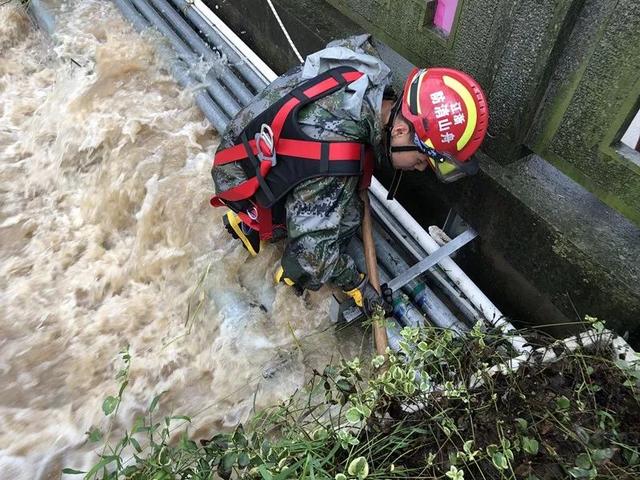 身强力壮的意思，十二生肖盘点消防员特质（身强力壮是什么意思）