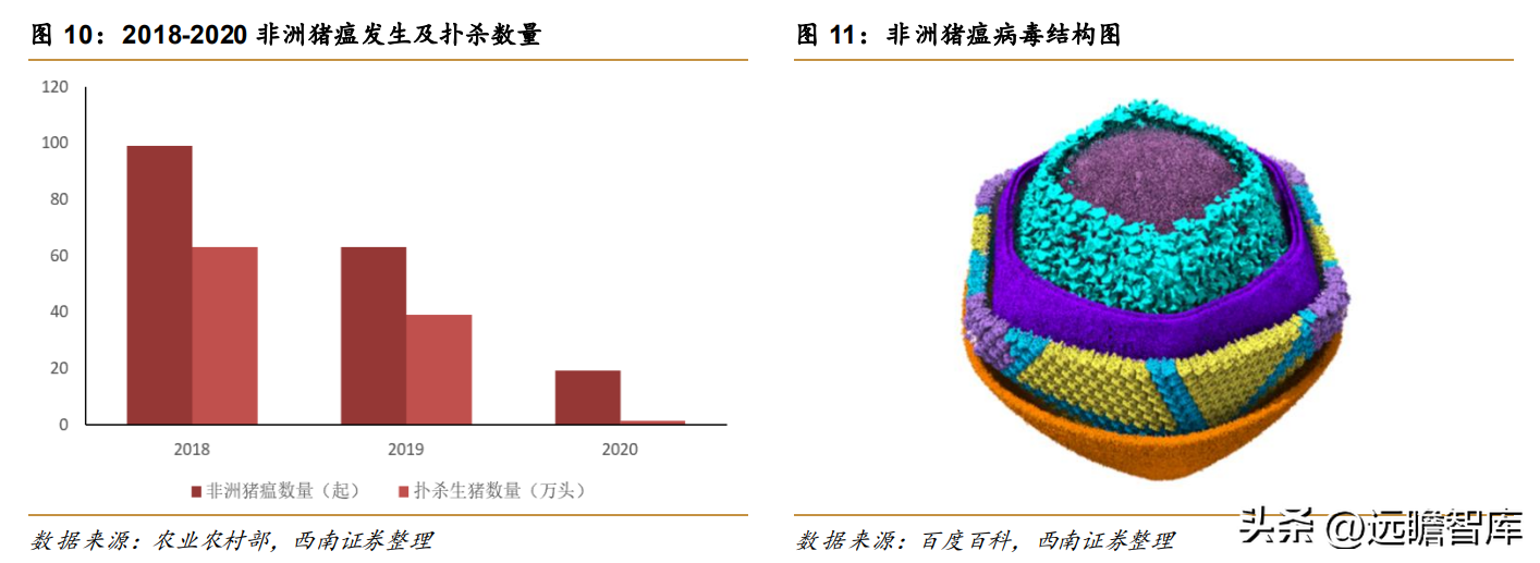 上海多肽合成（高科技动保企业）