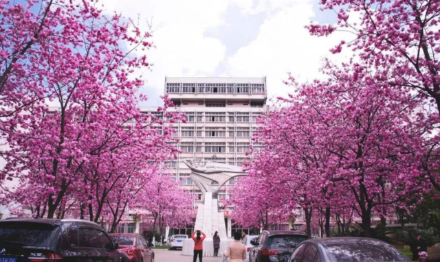 河北师范大学是211学校吗（喜讯）