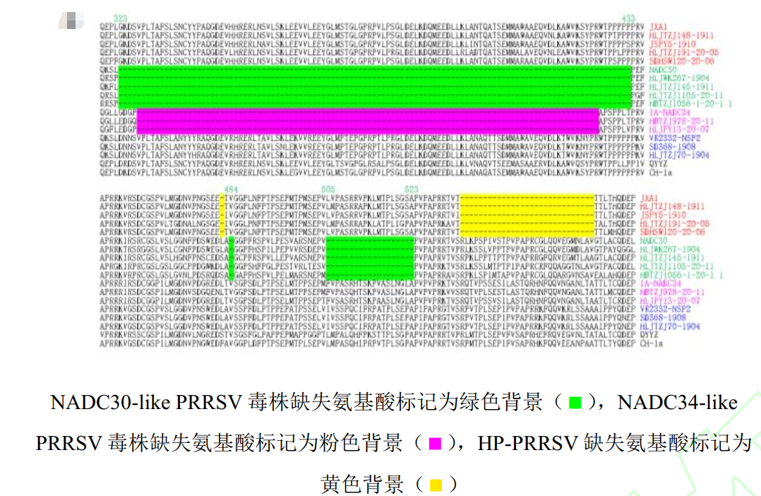 Rf亚型 美国RFLP1-4-4lineage1C变异株与中国类NADC34属于同一亚型分支