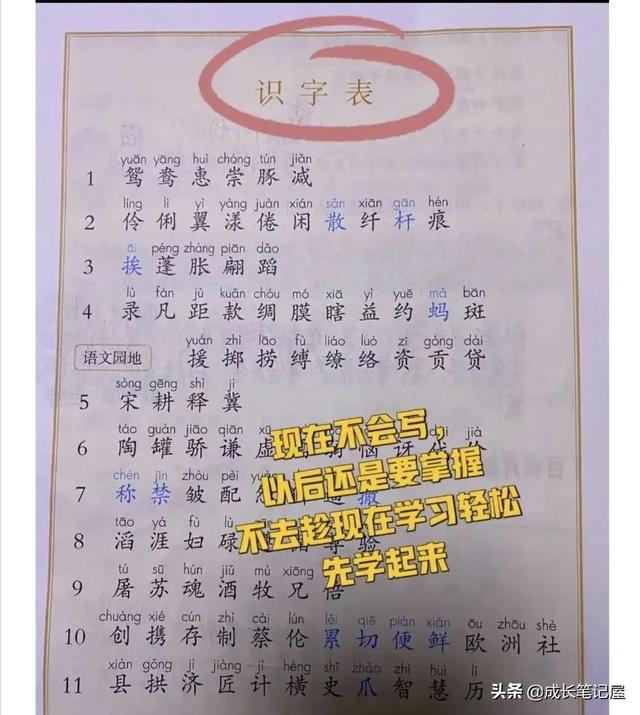 三表是哪三表，财务三表是哪三表（晨读——三表<识字）