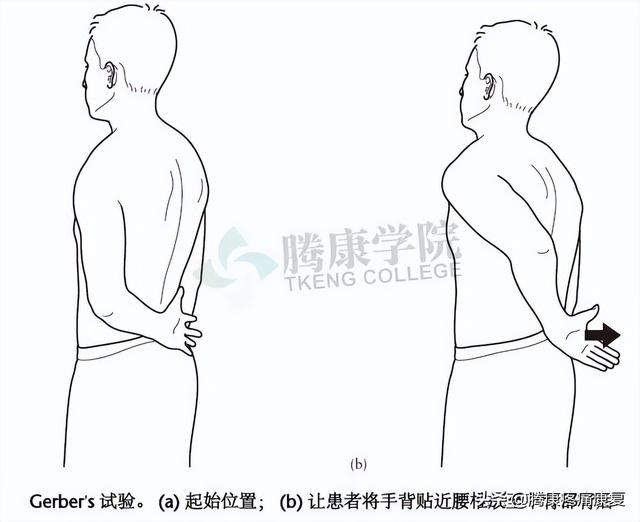 biceph，肩关节的特殊检查（bicep curl）