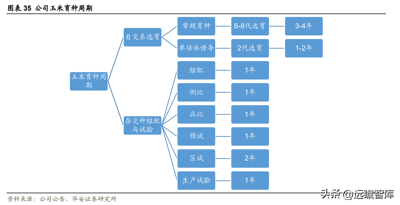 登海先锋种业（玉米种子领军企业）